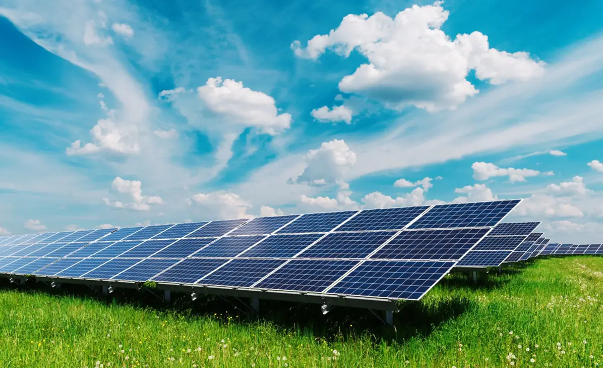 solar panels in a farm